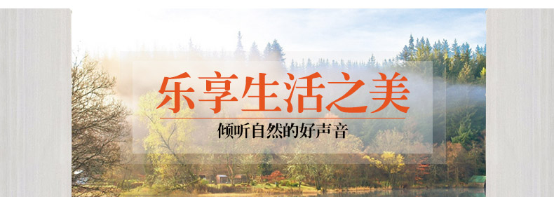 實(shí)木沙發(fā)
