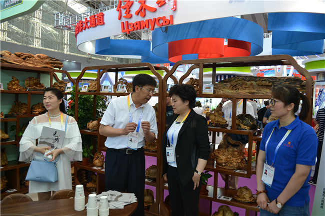 光明集團(tuán)哈洽會(huì)上展風(fēng)采