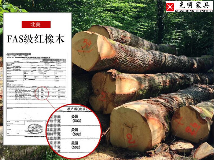 2020年雙十一爆款商品搶先爆料！！
