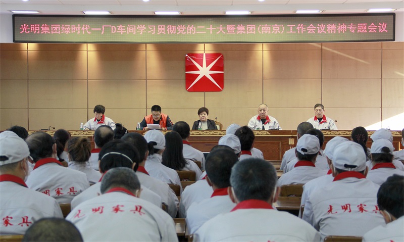 綠時(shí)代一廠D車間、電商公司、伊春公司召開學(xué)習(xí)貫徹黨的二十大暨集團(tuán)（南京）工作會(huì)議精神專題會(huì)議